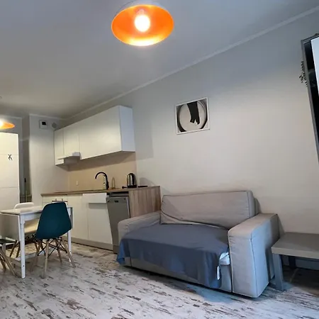 Apartament Slusarska Street *