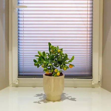 Apartment White Magnolia 4 Bedroom Premium And Parking *