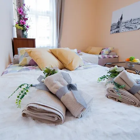 Appartamento Apartments Roman