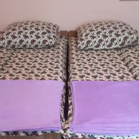 Hostel Taurus *