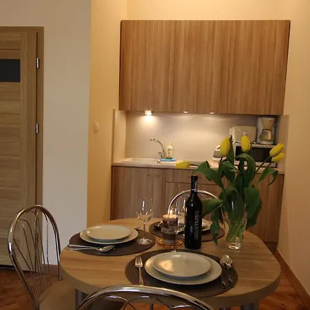 Apartment Sobieski&soplica Krakow