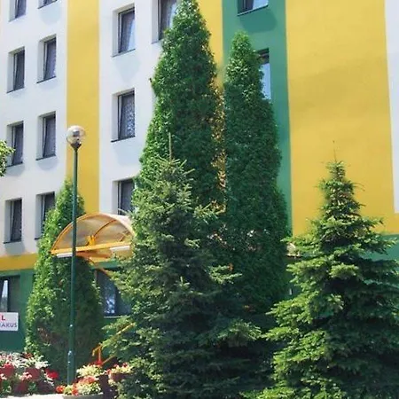 Rok Krakov