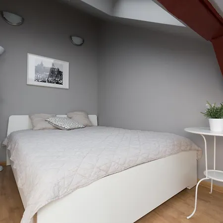 Apartment Penthouse With Piano & Old Town View