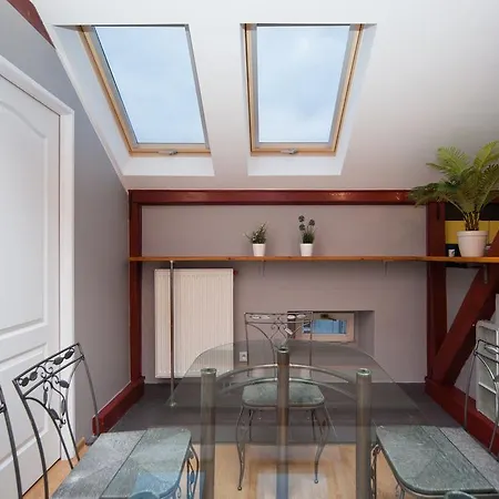 Penthouse With Piano & Old Town View Apartment *