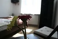 Adax Goscinne Kraków