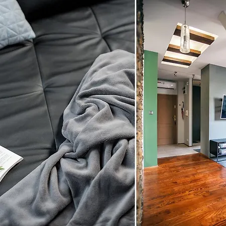 Ludwinowski Apartament * Krakow