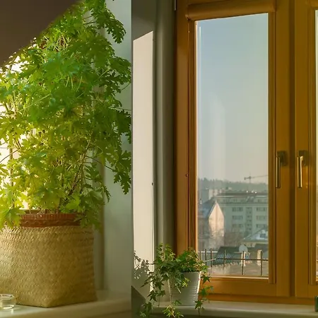 Ludwinowski Apartament *