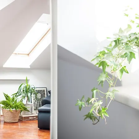 Ludwinowski Apartament *