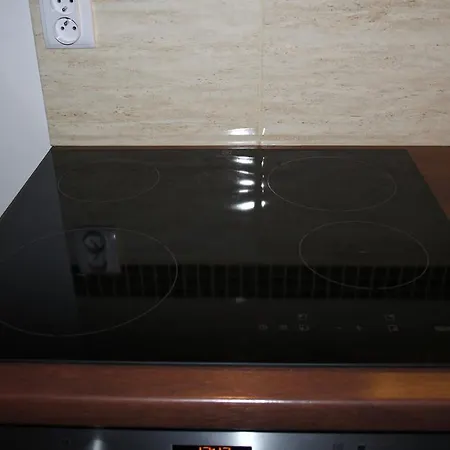 Apartment Wielicka Cracow *