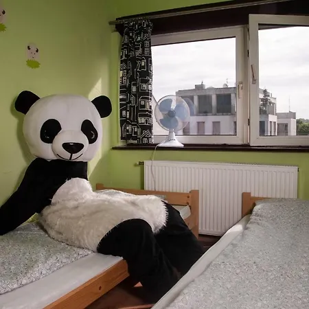 Panda Krakow