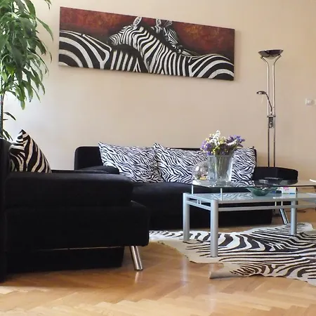 Zebra Kraków