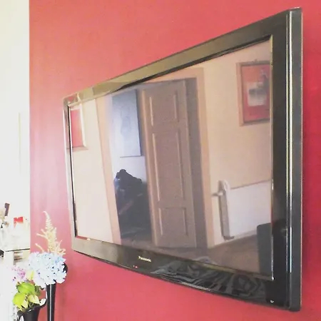 Zebra Apartament Kraków