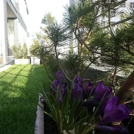 Garden Apartment Cracow- Shopping Mall 1Min, Underground Parking, Family Friendly, City Center Apartment Krakow