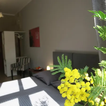 Goscinne Poselska 20 Homestay *