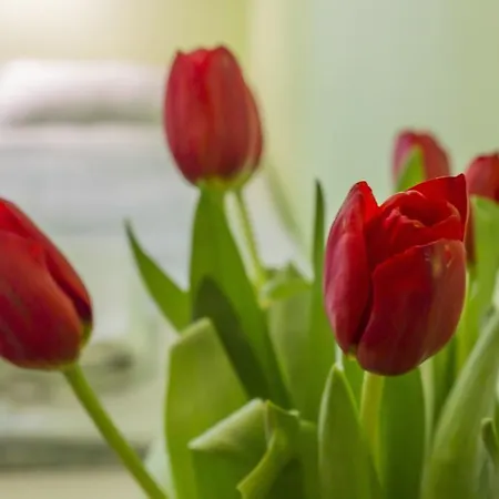 Flower Hostel Krakow