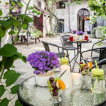 Platinia - Komfortowe Stare 3* Krakkó