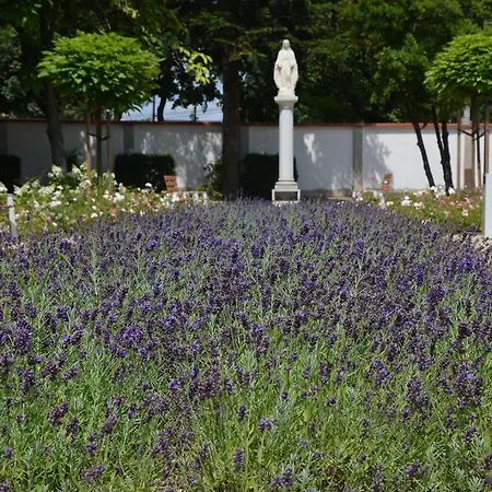 Hotel Domus Mater