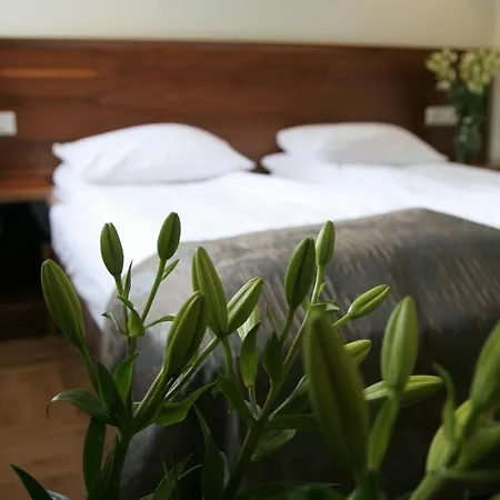 Julia Guest house *