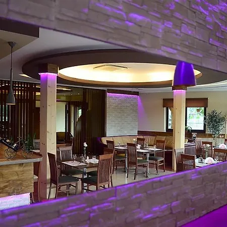 Hotel Tyniecki