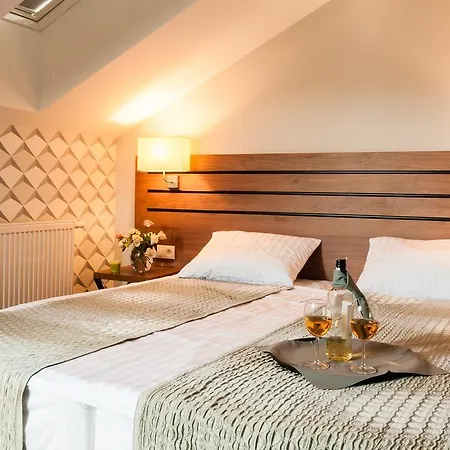 Hotel Wilga 3*
