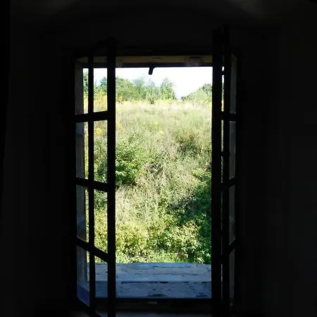 Auberge de jeunesse Luneta Warszawska