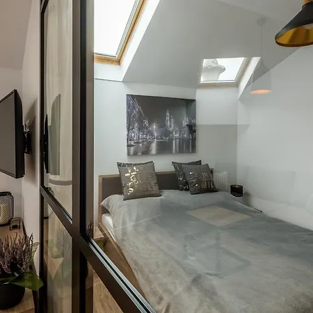 Downtown Cracow Apartment