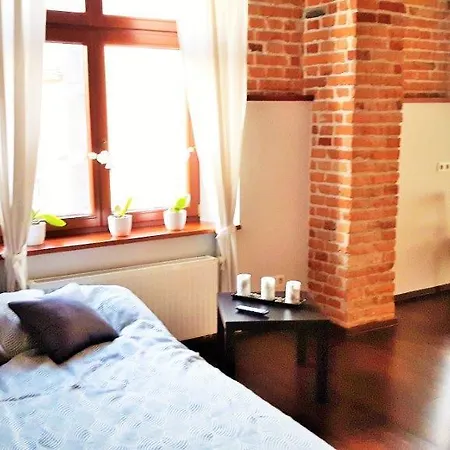 Apartament Krupnicza 30 *