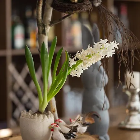 Grottger Luxury Boutique Krakov