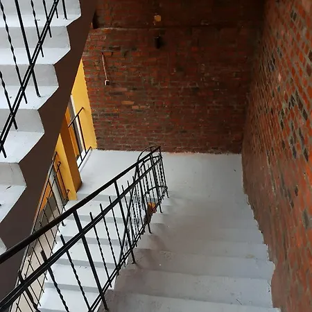 Kaktus *