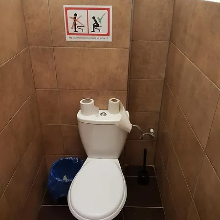 Kaktus *