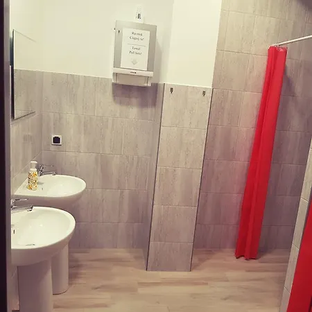 Kaktus Krakow