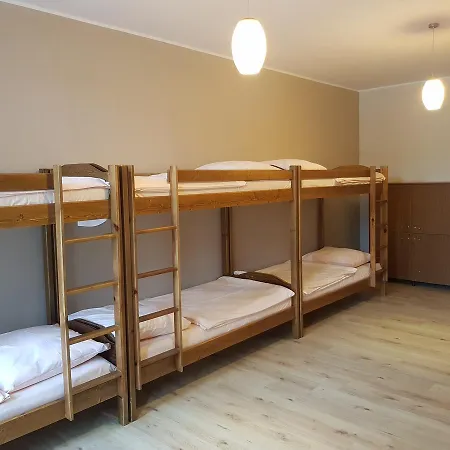 Kaktus Krakow