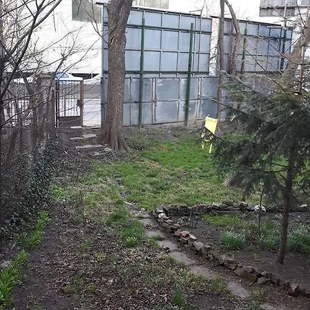 Debniki Ice *