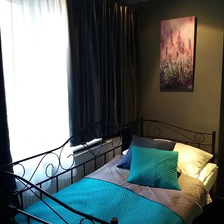 Lawendowy Hostel