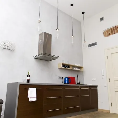 Light Apartment Krakow