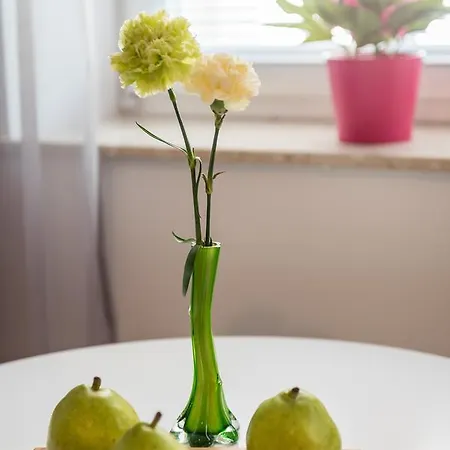 Apartament Zelazna Wawelofts Apartment Krakow