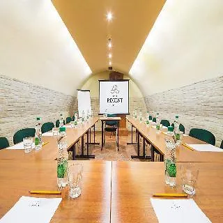 摄政酒店 酒店 克拉科夫