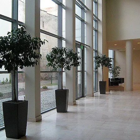 Angel Plaza Kraków