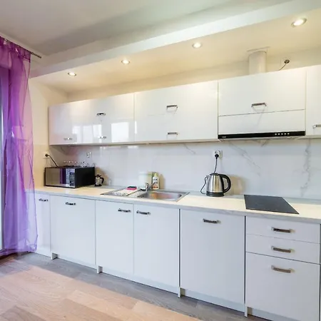 Apartment Rakowicka Wawelofts