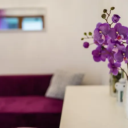 Apartment Rakowicka Wawelofts Krakow