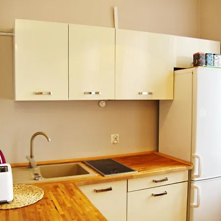Magnolia City Centre Apartament Kraków