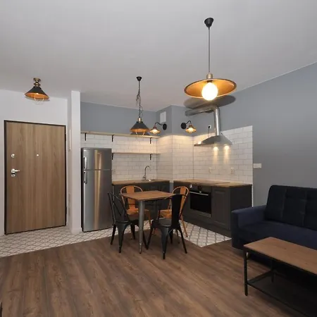 Apartment Rakowicka Wawelofts