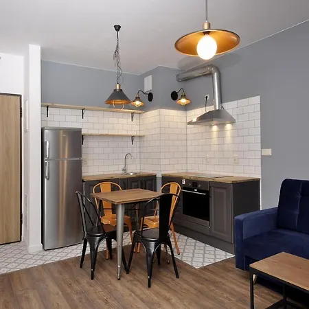 Apartment Rakowicka Wawelofts