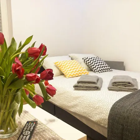 Fox Center Apartment *