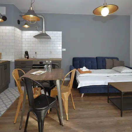 Rakowicka Wawelofts Apartment Krakow