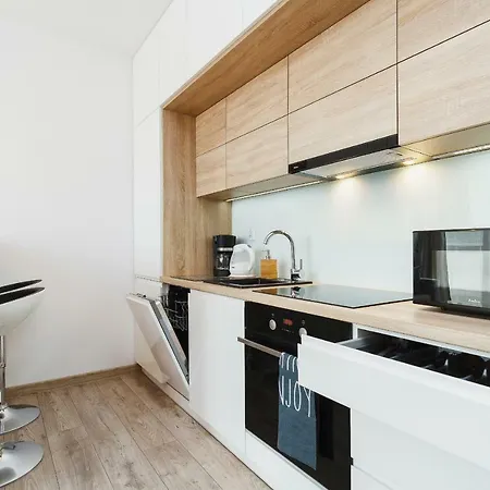 Tauron Arena Elegant Dabska By Renters Apartment Krakow