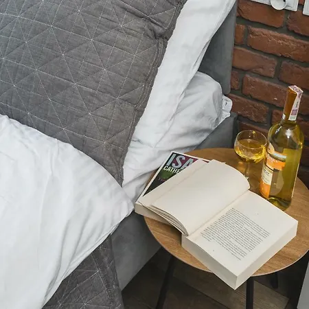 Liv Old Town Apartament Kraków