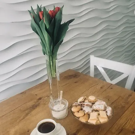 Apartment Vip