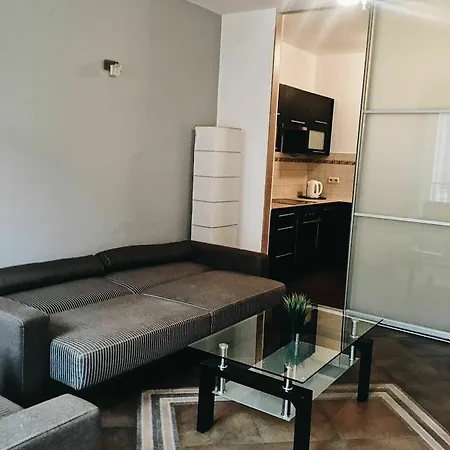 Apartment Penguin - Wawel Castle *