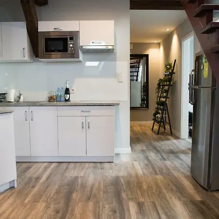 Apartment Leo Old Town